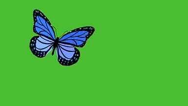 原创绿幕免抠蝴蝶视频素材视频的预览图